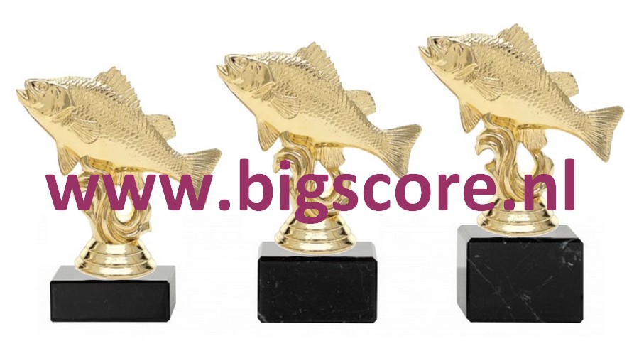 Vis Goud 457-G